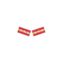 WWII Japan collar insignias,WW2 japanese,japanese collar insignias,WW2 japanese badge,IJA badge,IJN badge