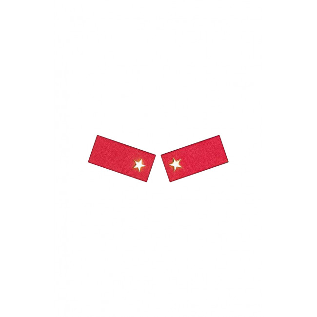 WWII Japan collar insignias,WW2 japanese,japanese collar insignias,WW2 japanese badge,IJA badge,IJN badge