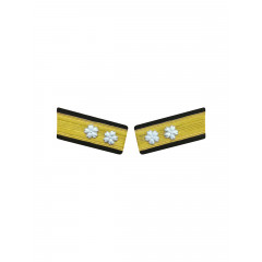 WWII Japan collar insignias,WW2 japanese,japanese collar insignias,WW2 japanese badge,IJA badge,IJN badge