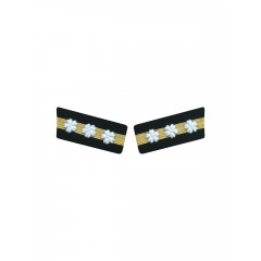 WWII Japan collar insignias,WW2 japanese,japanese collar insignias,WW2 japanese badge,IJA badge,IJN badge